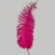 Cerise Ostrich Feathers