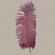 Dusky Pink Ostrich Feathers