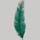 Emerald Ostrich Feathers