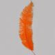 Orange Ostrich Feathers