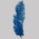 Turquoise Ostrich Feathers