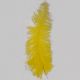 Yellow Ostrich Feathers